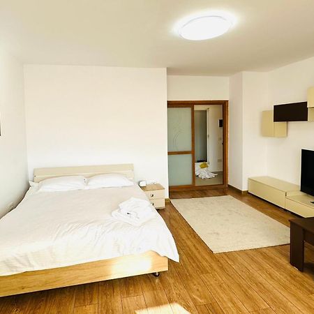 Garsoniera In Zona Garii Iasi Apartment Екстериор снимка